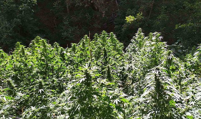 Bingöl'de uyuşturucu madde ele geçirildi