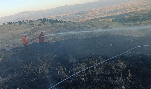 Bingöl'de yangın ormana sıçramadan söndürüldü