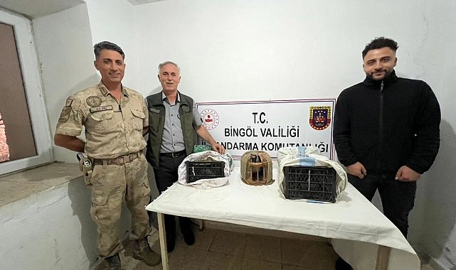 Bingöl'de yasa dışı avlanan 23 adet kınalı keklik ele geçirildi