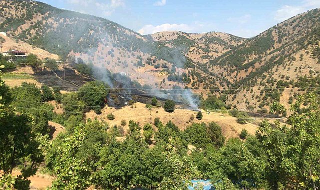 Bingöl'deki örtü yangını evlere sıçramadan söndürüldü