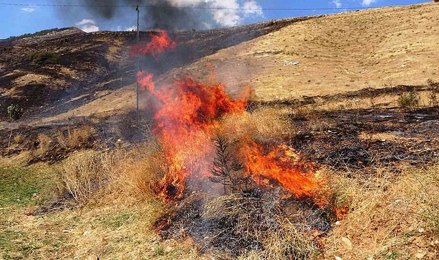 Bitlis'te 12 hektarlık alanda örtü yangını çıktı