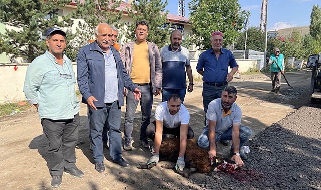 Çıldır Belediyesinden Sıcak Asfalt Çalışması