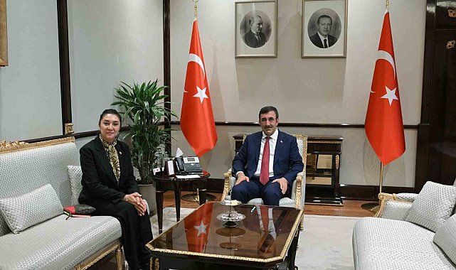 Cumhurbaşkanı Yardımcısı Yılmaz, Ağrı Milletvekili Kilerci ile görüştü