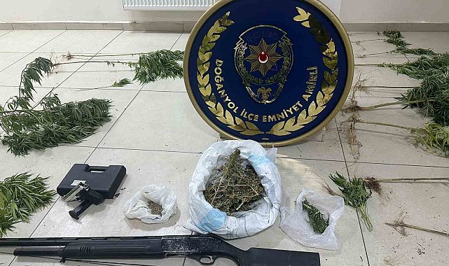 Doğanyol'da uyuşturucu operasyonu
