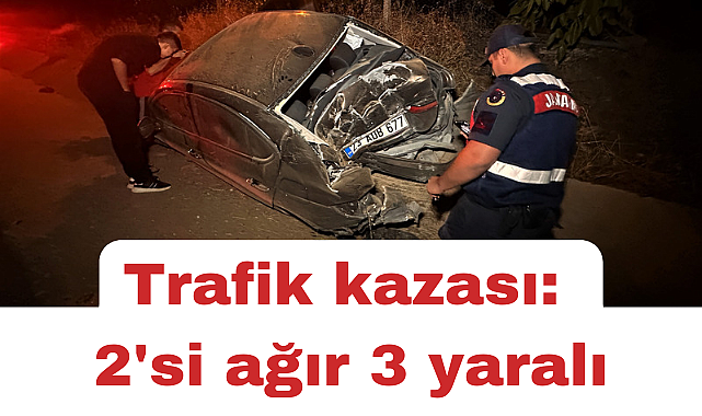 Elazığ'da kontrolden çıkan araç yoldan çıktı: 2'si ağır 3 yaralı