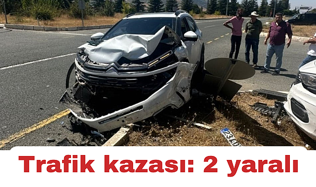 Elazığ'da trafik kazası: 2 yaralı