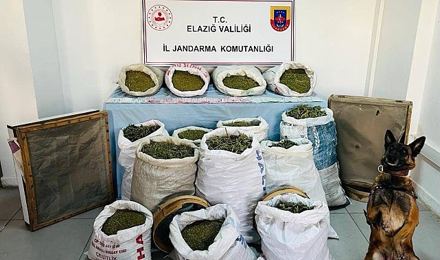 Elazığ'da 241 kilo esrar ele geçirildi: 2 tutuklama