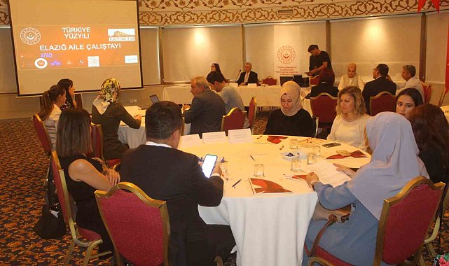 Elazığ'da 'Aile Çalıştayı' düzenlendi