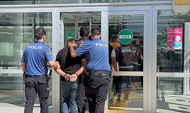 Elazığ'da 9 şüpheliden 2'si tutuklandı