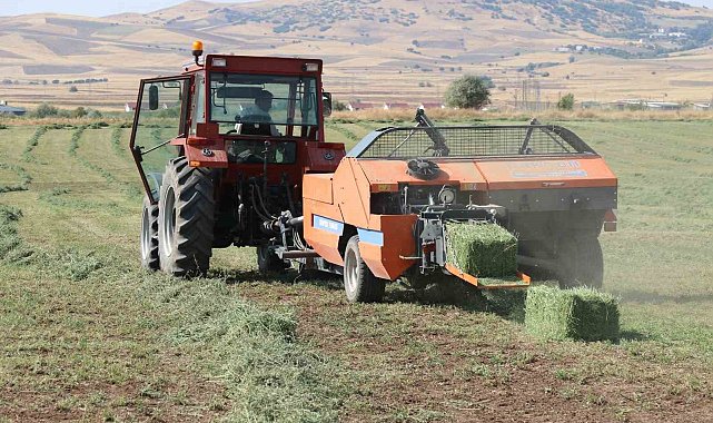 Elazığ'da balyalama mesaisi başladı