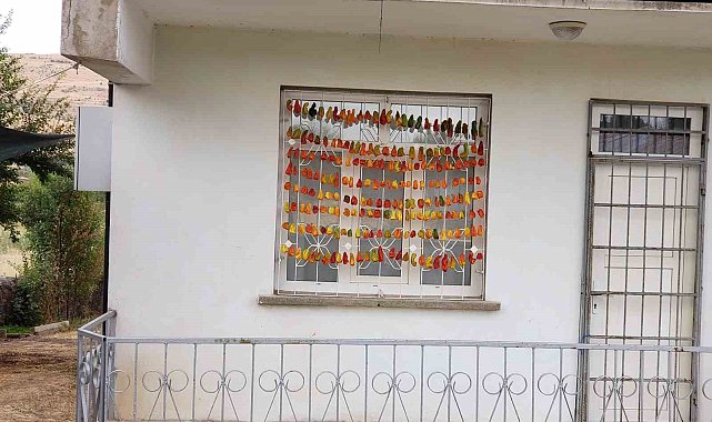 Elazığ'da kadınların kış hazırlığı renkli görüntüler oluşturdu