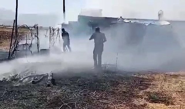 Elazığ'da otluk ve ağaçlık alanda çıkan yangınlar söndürüldü