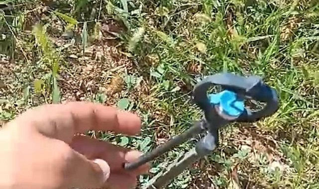 Elazığ'da tarlalara dadanan kargalar, sulama fıskiyelerini kopardı