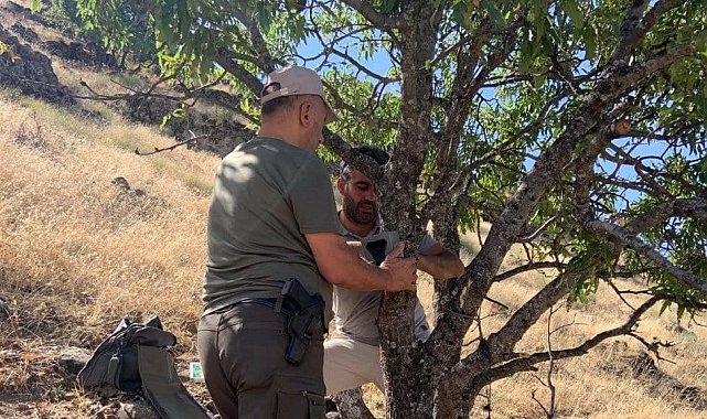 Elazığ'da yaban hayatını görüntüleyen fotokapanların bakımı yapıldı