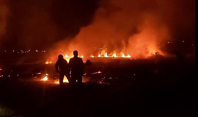 Erzincan'da anız yangını