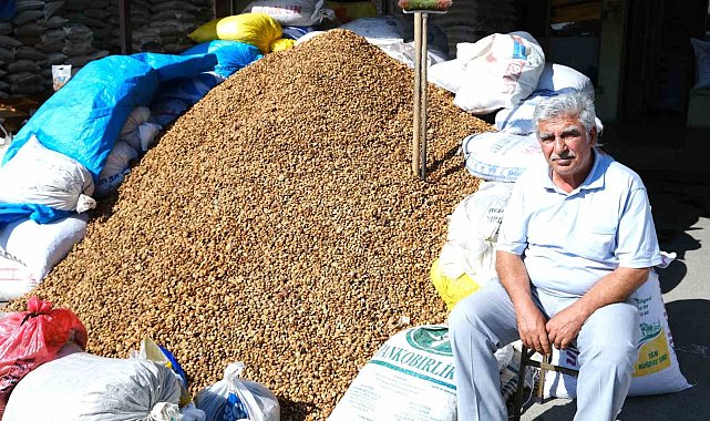 Erzincan'dan Malatya'ya 30 ton acı kayısı çekirdeği gönderiliyor