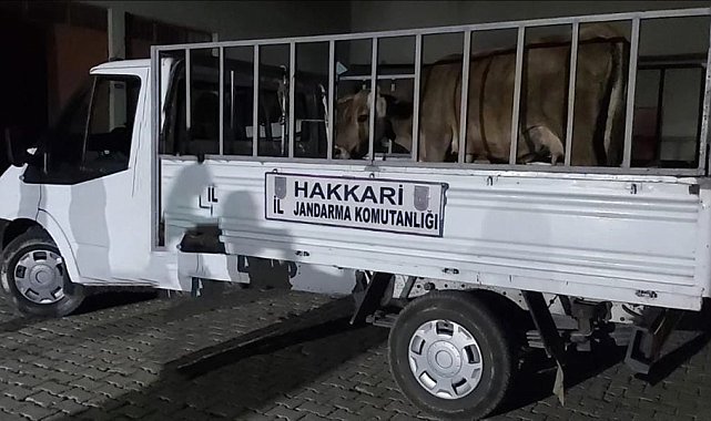 Hakkari'de 49 şüpheli hakkında işlem yapıldı