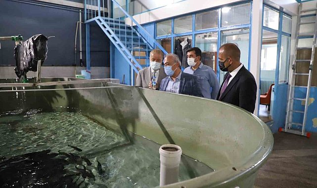 İçsu Balıkları Araştırma ve Uygulama Birimi, balık üretimini sürdürüyor