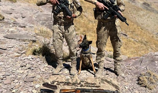 Jandarma ekipleri PKK'ya ait 2 sığınakta çok sayıda silah ve mühimmat ele geçirdi