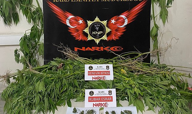 Kağızman'da esrar ve hint keneviri ele geçirildi