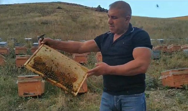 Karslı 'arı adam' sınırları zorluyor