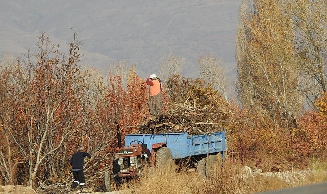 Köylerde kışlık odun hazırlığı