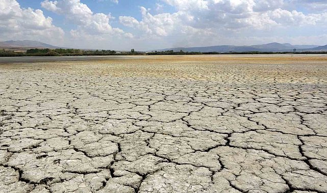 Kuş cenneti Erçek Gölü'nün kıyı şeridi buhar oldu