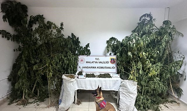 Malatya'da zehir tacirlerine büyük darbe