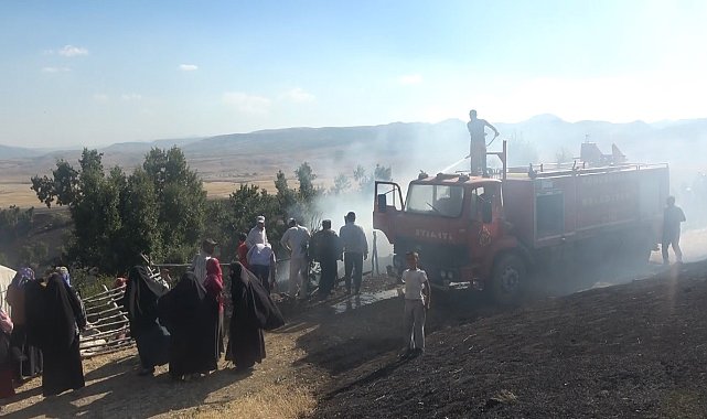 Muş'ta elektrik tellerinin genleşmesi sonucu çıkan yangında 1 kişi yaralandı