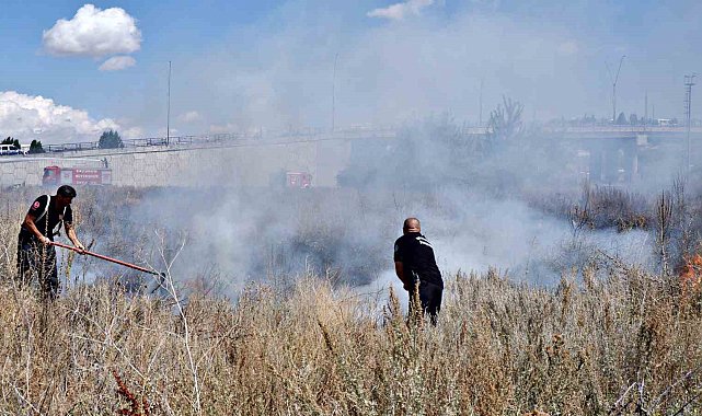 Ot yangınında ortalığı alev sardı