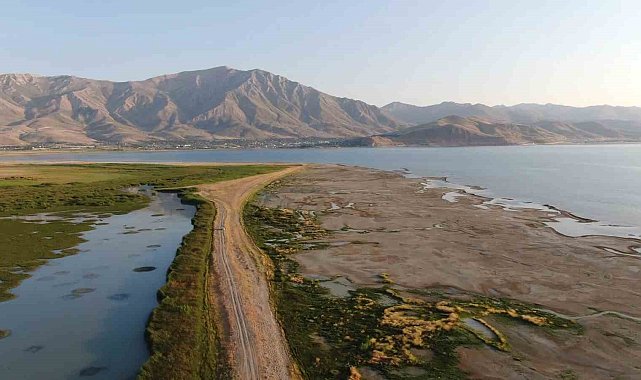 Prof. Dr. Aslan: "Van Gölü'nün sulak alanları yok oluyor"