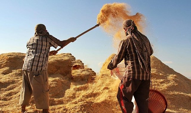 Tarımsal girdi fiyat endeksi yıllık yüzde 34,32, aylık yüzde 6,56 arttı