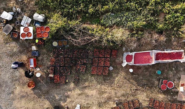 Tatvan'da salça kadınların gelir kapısı haline geldi