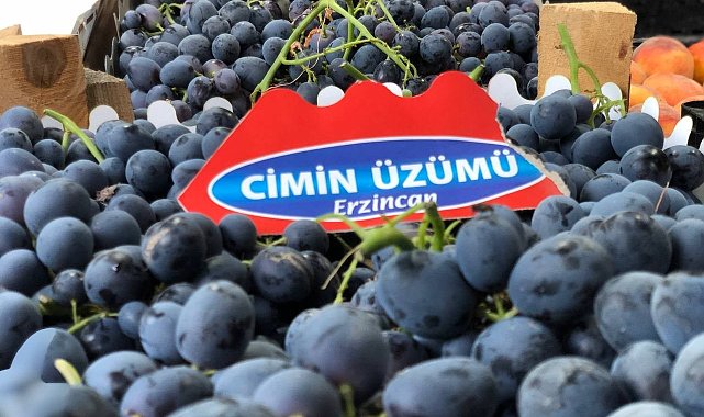 Tescilli Cimin üzümünde hasat zamanı