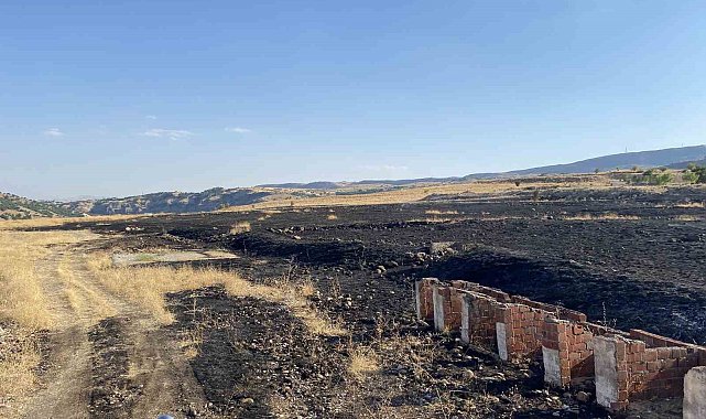 Tunceli'de arazi yangını
