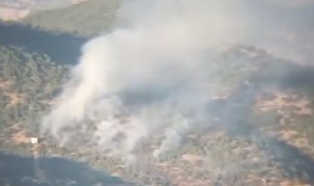 Tunceli'de çıkan orman yangını kontrol altına alındı