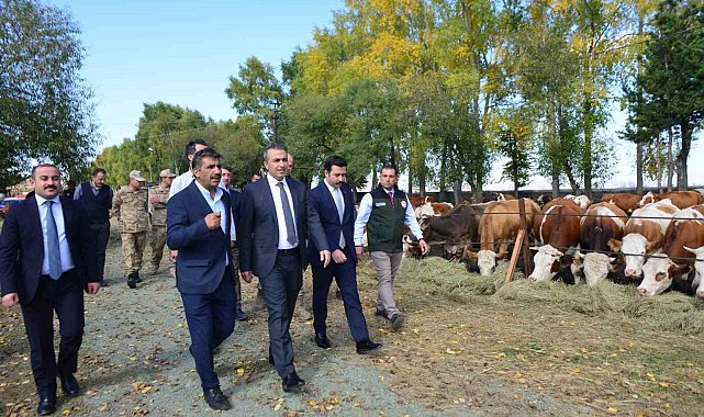 Vali Çiçek, Göle TİGEM'de incelemelerde bulundu