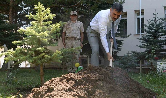 Vali Çiftçi fidan dikti