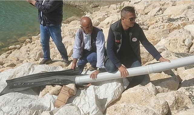 Van'da 1 milyon 800 bin balık göllere bırakıldı
