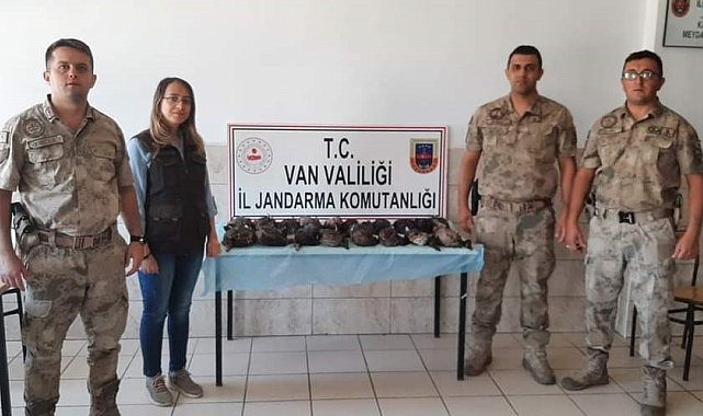 Van'da kaçak olarak yaban ördeği avlayanlara ceza