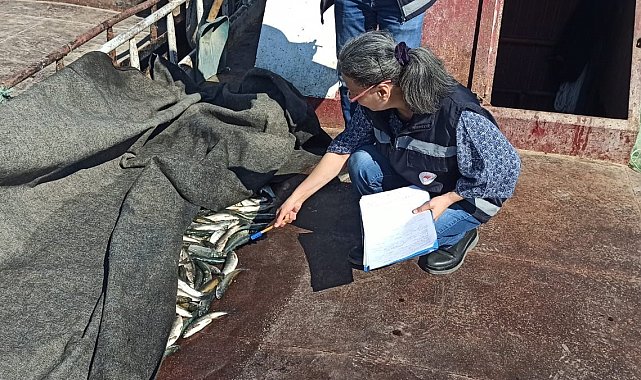 Van'da su ürünleri denetimi yapıldı