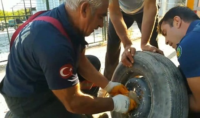 Yavrusu kurtarılana kadar başında bekledi