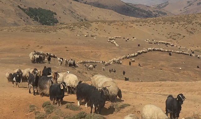 Yaylacılar büyük göç öncesi son hazırlıklarını tamamladı
