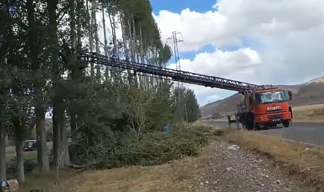 Yüksek gerilim hattının üzerinden geçtiği 200 ağaç kesildi