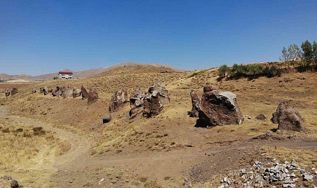 Yüzlerce yıllık 'Nemrut Develeri' bir bir yok oluyor