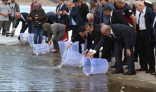 13 ilde 25 milyon yavru sazan suya bırakıldı