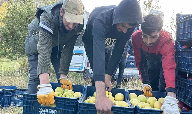 30 yıl önce İran'dan getirdiği meyve ağaçlarından ton ton ürün alıyor