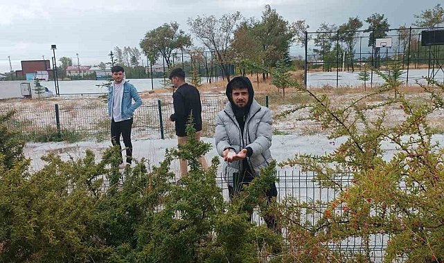 Adilcevaz'da dolu yağışı çevreyi beyaza bürüdü