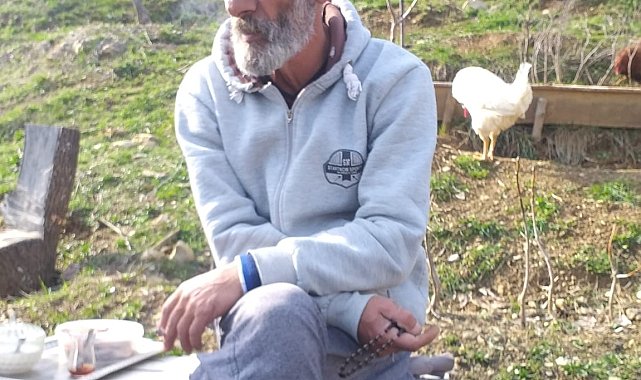 Ağaçtan düşen adam hayatını kaybetti