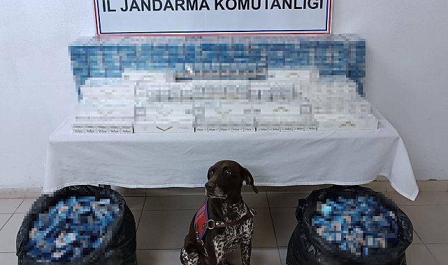 Ağrı'da 3 tırda kaçak akaryakıt ve sigara ele geçirildi